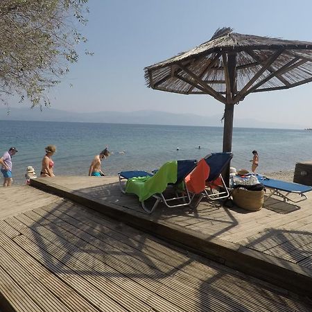 Florida Blue Bay Resort & Spa بساثوبيرغوس المظهر الخارجي الصورة